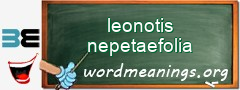 WordMeaning blackboard for leonotis nepetaefolia